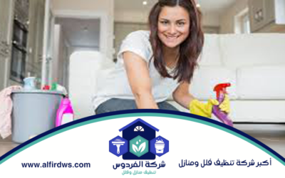 شركة تنظيف منازل في دبي 0586812887