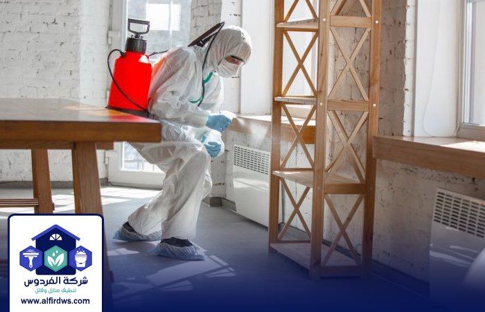 مكافحة حشرات في راس الخيمة 4 مكافحة حشرات في راس الخيمة