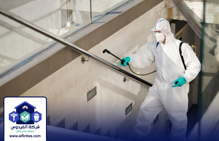 مكافحة حشرات في العين 4 مكافحة حشرات في العين