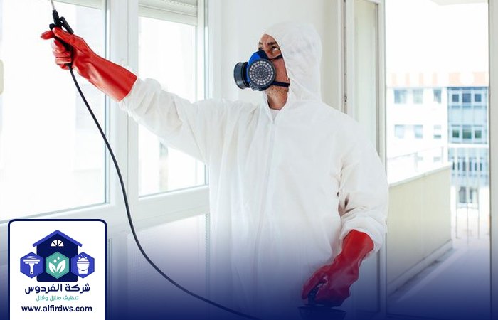 مكافحة حشرات في العين 5 مكافحة حشرات في العين