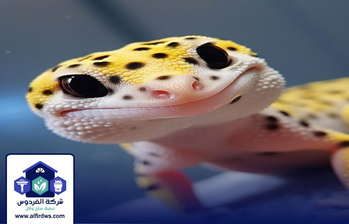 شركة مكافحة الطيطار في العين 2 شركة مكافحة الطيطار في العين