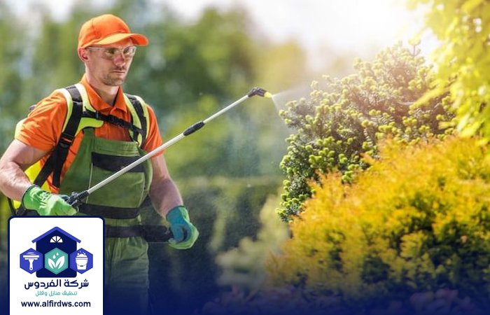 مكافحة حشرات في أبوظبي 3 مكافحة حشرات في أبوظبي