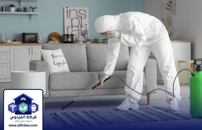 مكافحة حشرات في أبوظبي 5 مكافحة حشرات في أبوظبي