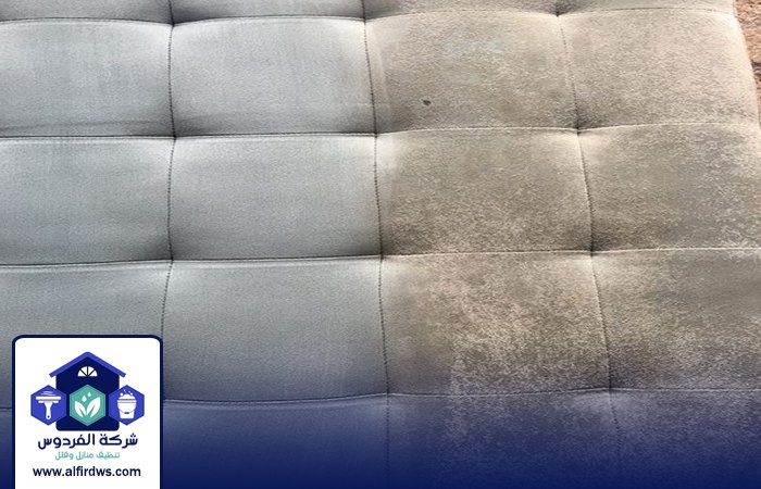 شركة مكافحة الرمة في أبوظبي