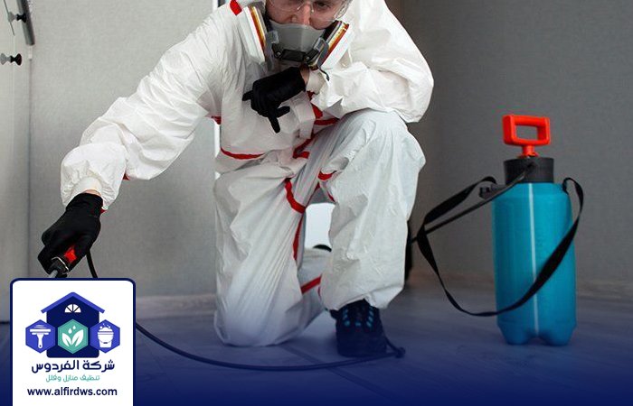 شركة مكافحة الرمة في دبي 4 شركة مكافحة الرمة في دبي
