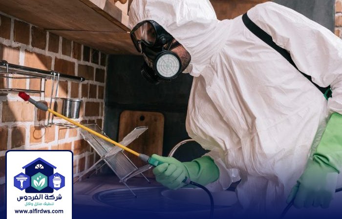 شركة مكافحة الصراصير في ابوظبي 4 شركة مكافحة الصراصير في ابوظبي