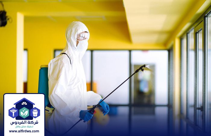 مكافحة حشرات في دبي 3 مكافحة حشرات في دبي