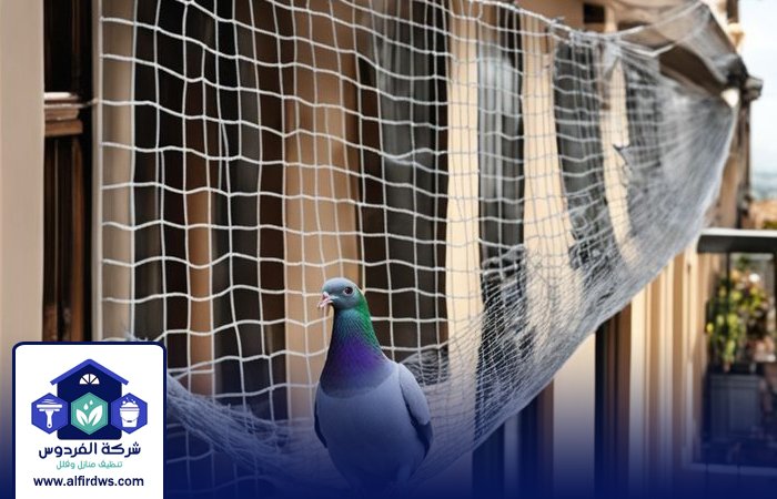 مكافحة الحمام في دبي 4 مكافحة الحمام في دبي