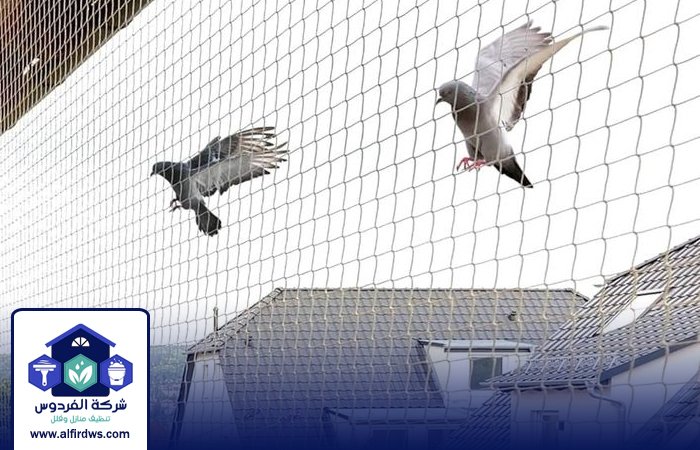 مكافحة الحمام في عجمان 5 مكافحة الحمام في عجمان