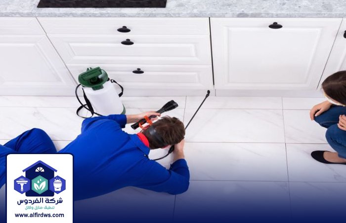 أفضل شركة مكافحة حشرات 3 أفضل شركة مكافحة حشرات