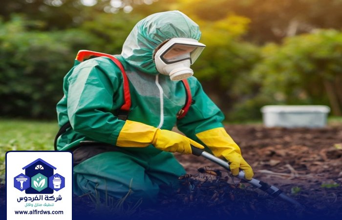 أفضل شركة مكافحة حشرات 2 أفضل شركة مكافحة حشرات