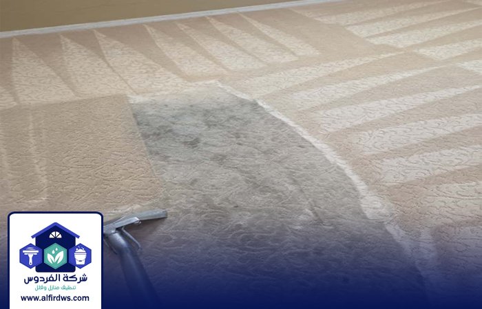 شركة تنظيف سجاد في السيوح 3 شركة تنظيف سجاد في السيوح